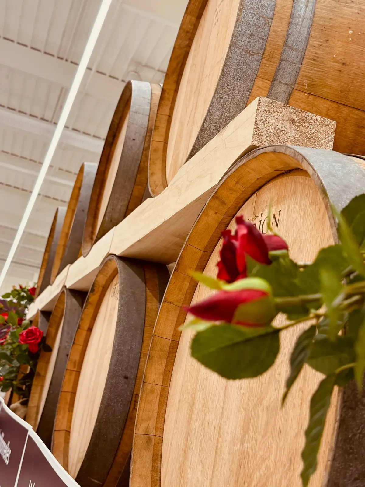 Décoration Foire aux vins - Nectar