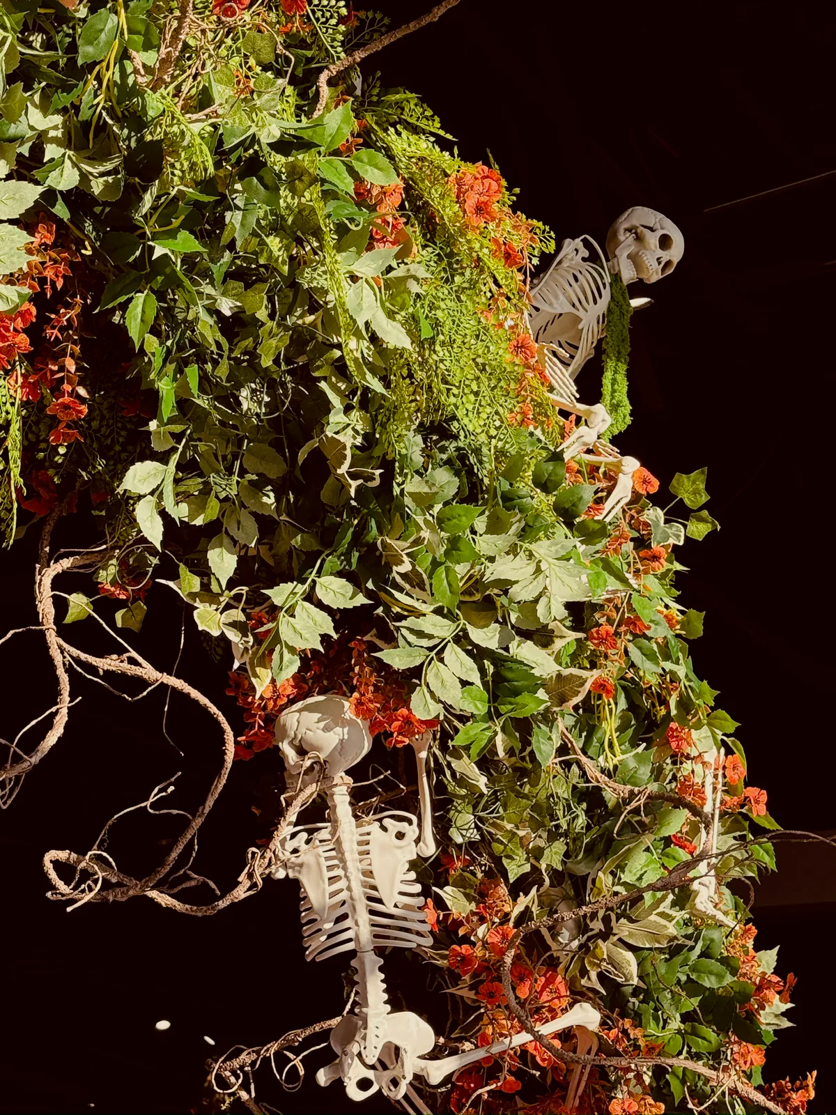 Décor Forêt enchantée et épouvantails musiciens Halloween - Nectar