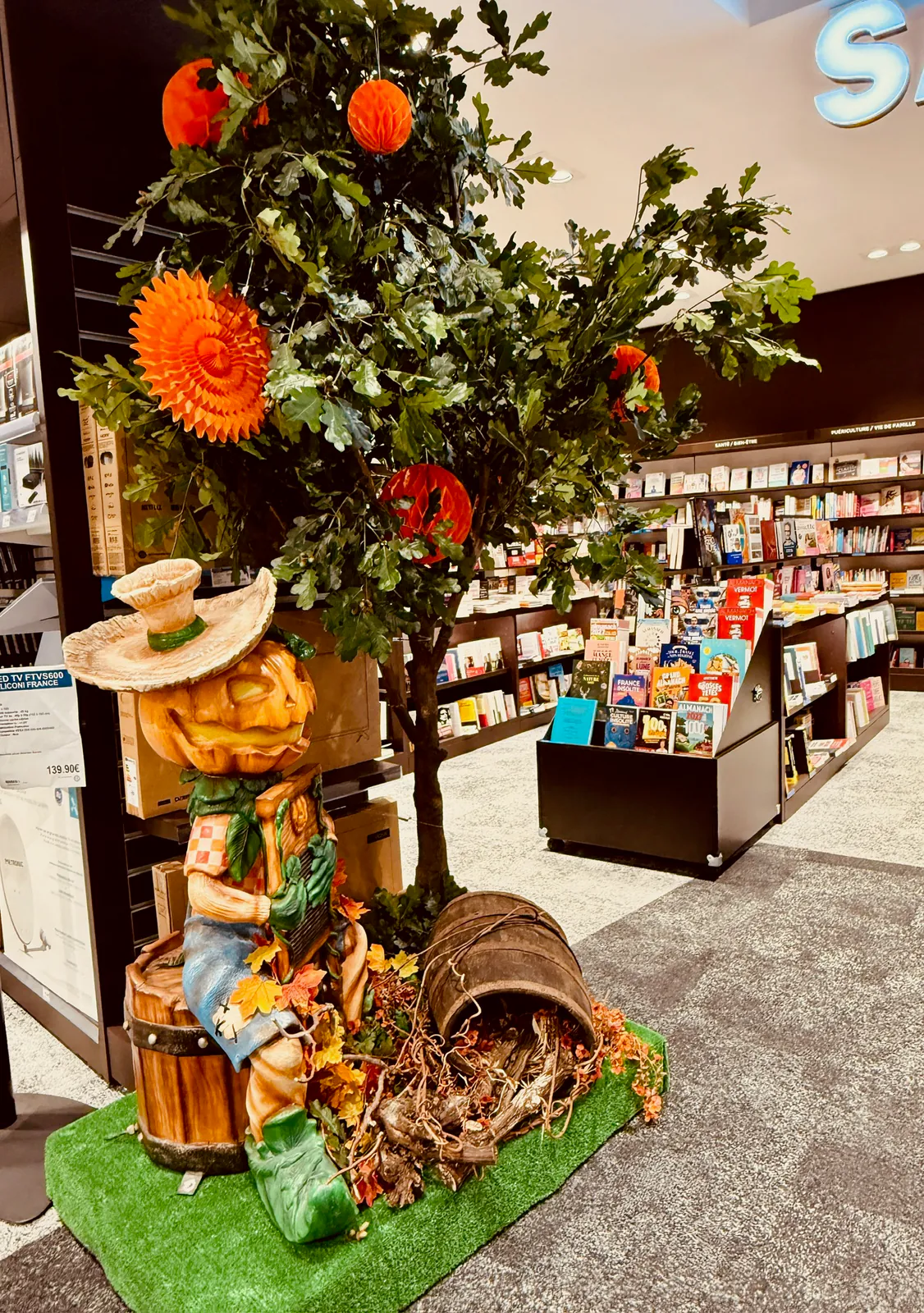 Décor Forêt enchantée et épouvantails musiciens Halloween - Nectar