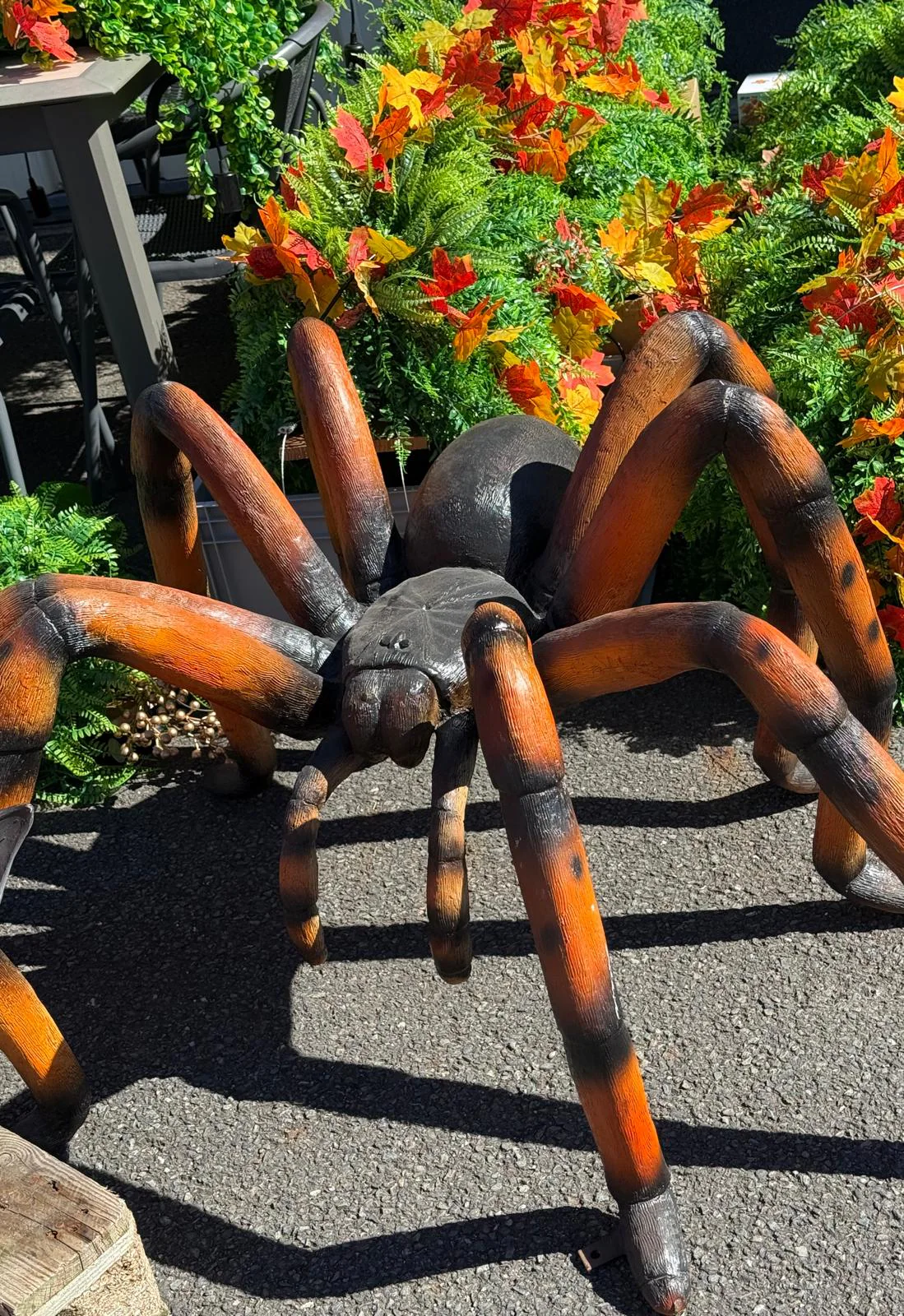 Décoration Halloween — Nectar