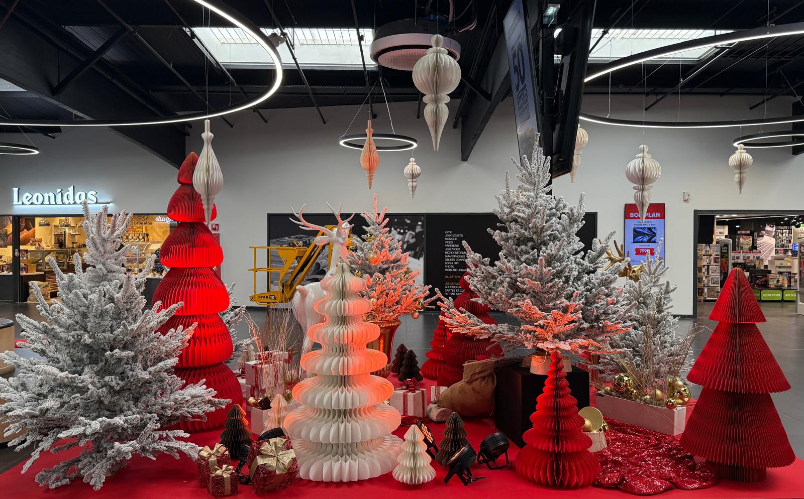 Décoration Noël — Intermarché de Rochefort