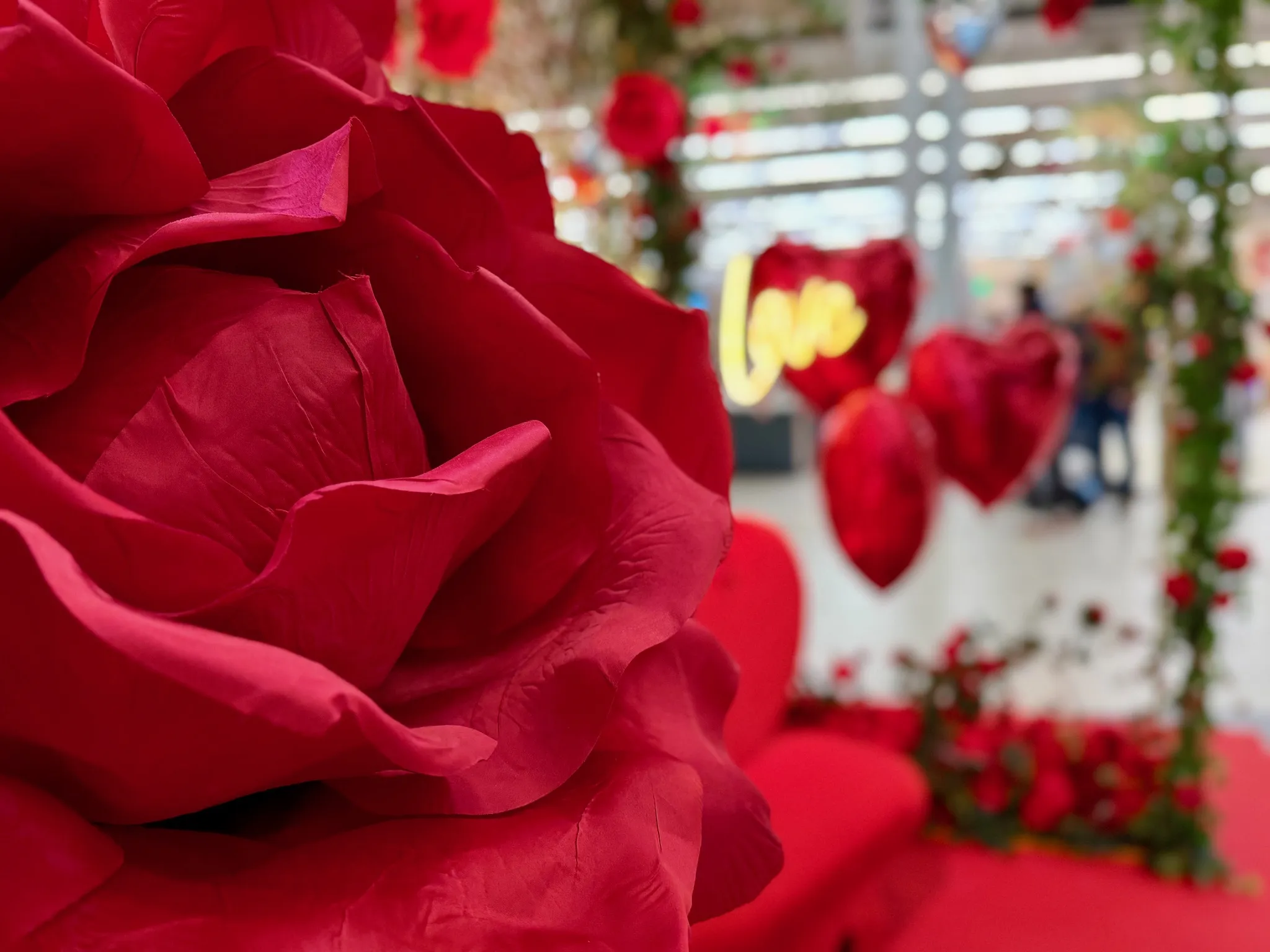Décoration Saint-Valentin — Saint Valentin Leclerc Jonzac